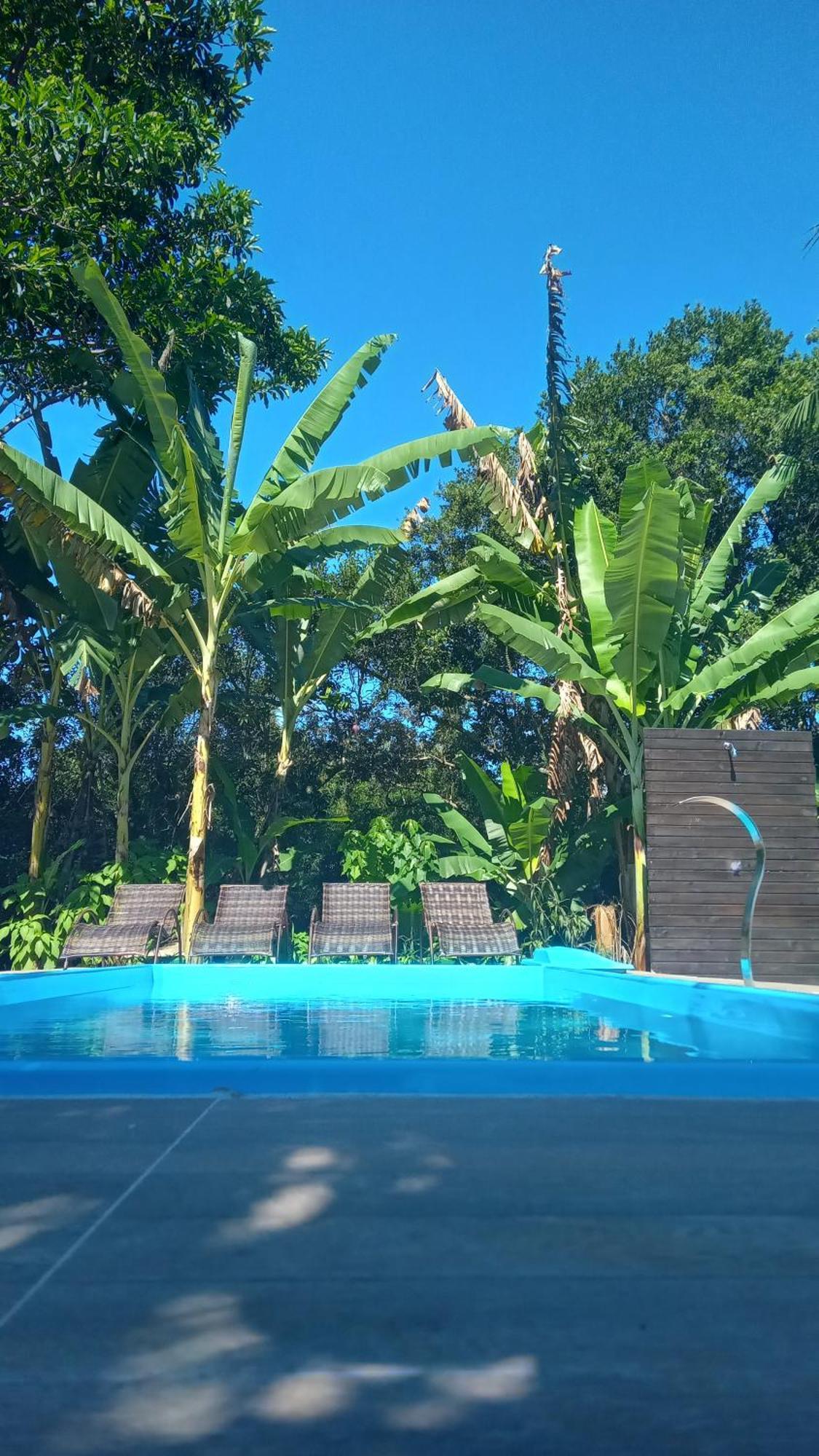 Pousada Hang Conectada Com A Natureza Florianópolis Kültér fotó